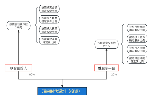 瑞森投资公司股权结构参考